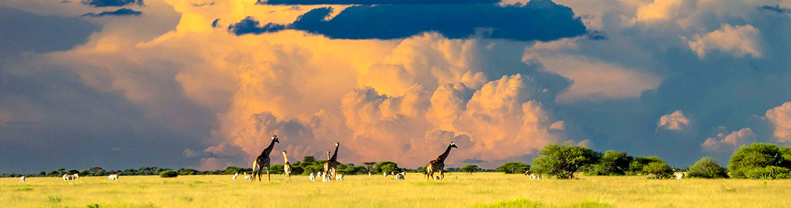 BOTSWANA