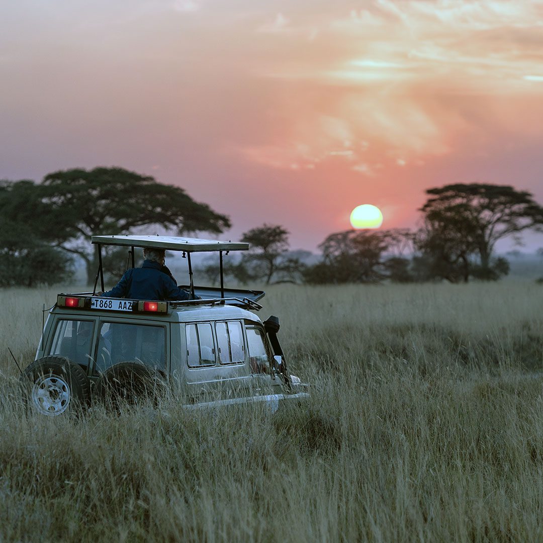 Serengeti