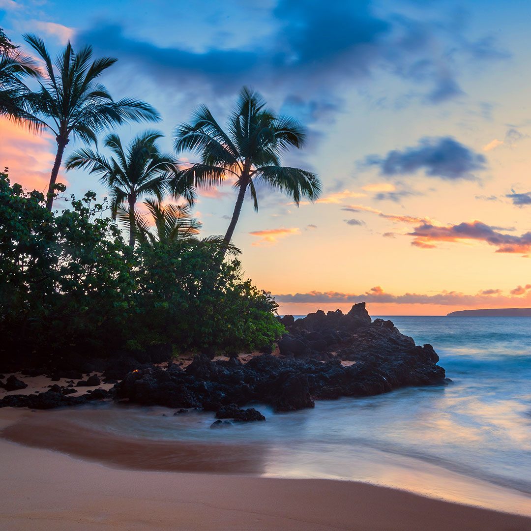 maui maui